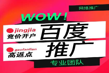 某品牌通过百度广告实现快速增长的案例